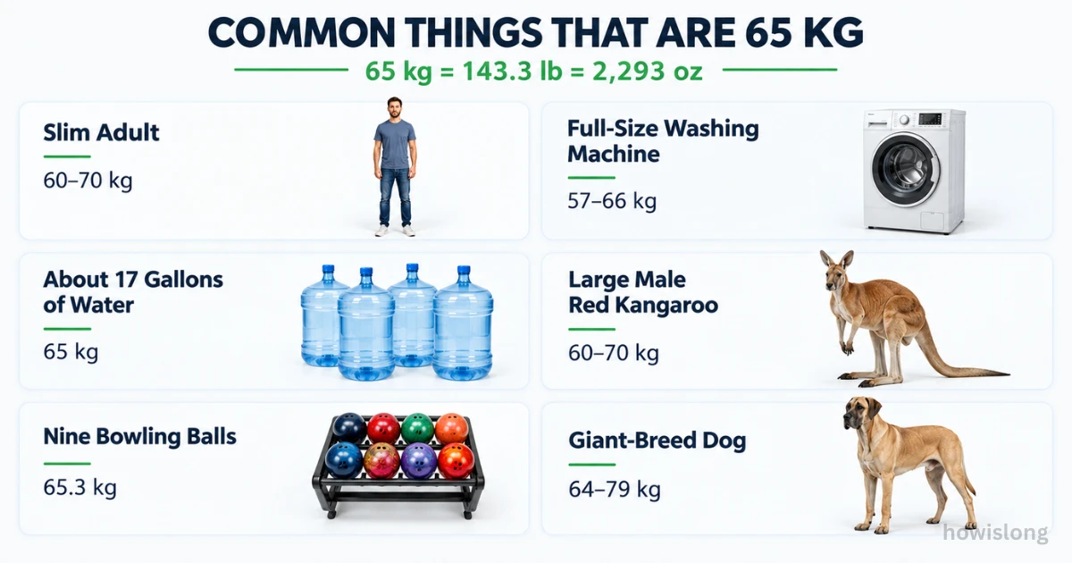 things-are-65-kg-weight