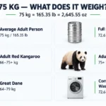 things-are-75-kg-weight