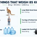 things-are-85-kg-weight